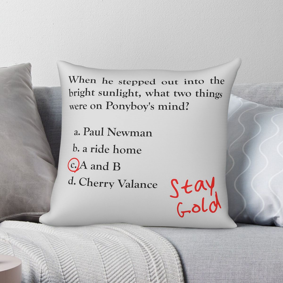 Outsiders Ponyboy Quiz Questio - огляд і ціна Home Decor Quiz Free