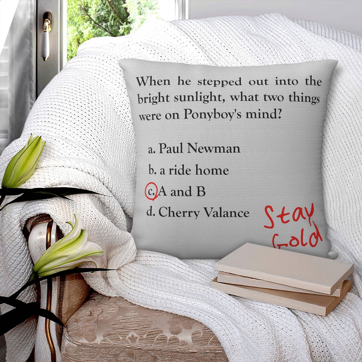 Outsiders Ponyboy Quiz Questio - огляд і ціна Home Decor Quiz Free